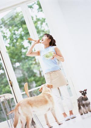 可愛い猫ばかりの猫カフェに行くなら