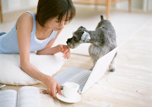 予約なしで通うこともできる動物病院